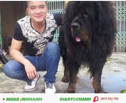 We did not find results for: Ban Tháº§n Khuyá»ƒn Ngao Tay Táº¡ng Má»›i 100 Gia 10 000 000Ä' Gá»i 0976 552 780 Yen Má»¹ HÆ°ng Yen Id A55b0200