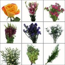 Maybe you would like to learn more about one of these? Bohemian Diy Wedding Flower Pack