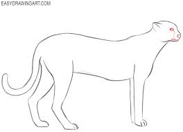 Learn how to draw cheetah simply by following the steps outlined in our video lessons. How To Draw A Cheetah Easy Drawing Art Drawings Cheetah Drawing Easy Drawings