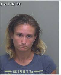 On July 15, 2019, Detectives of the Criminal Investigations Division (CID)  at the Wakulla County Sheriff's Office arrested three subjects after three  vehicles were burglarized in Crawfordville. On July 12, 2019, two