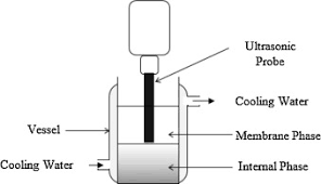 Görünümler 47 b7 yıl önce. Utilization Of Environmentally Benign Emulsion Liquid Membrane Elm For Cadmium Extraction From Aqueous Solution Sciencedirect