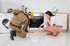 Image result for how to clean post ant treatment