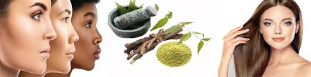 Meaning that it assists the hair to keep the moisture within the hair. 7 Benefits Of Neem Leaf Powder For Hair And Skin Everyone Should Know Indus Valley Blog