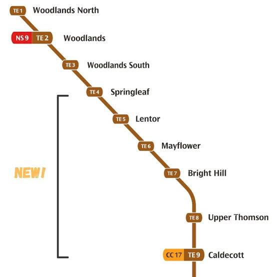 Thomson-East Coast MRT Line's 6 New Stations — 15 Cool Things to Eat, See, Do