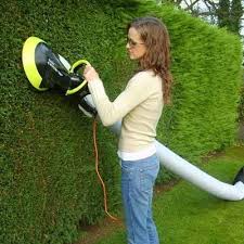 12 Late Summer Yard And Garden Upgrades Garden Gadgets Hedges Bedding Plants