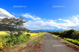 フォトライブラリー