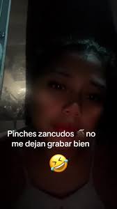 Jenny Aranda (@jenny.aranda4)'s videos with sonido original