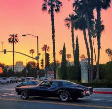 Muscle Cars Gsd S Protect The Wolves Horses In 2020 Night Landscape Photography Beautiful Nature Wallpaper Night Landscape