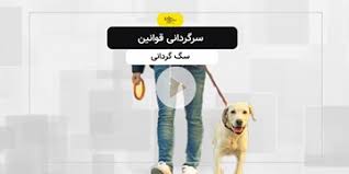 عملیات اجرایی گازرسانی به بیش از ۱۰۰ واحد صنعتی در شهرستان زرقان/گزارش تصویری. Xd5o5pp3iuhhbm