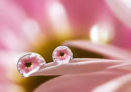 Download free image water drops. 40 Awesome Examples Of Water Drop Photography Photography Graphic Design Junction