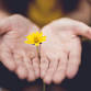 HOPE Works Advocate Drop-in Hours event image