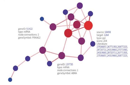 Dr.Tom Data Visualisation Solution - BGI Americas, Bioinfomatics