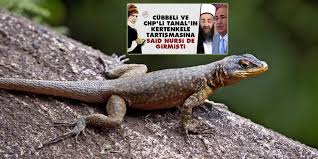 Kertenkele Oldurmek Sevap Mi Boyle Bir Hadis Var Mi