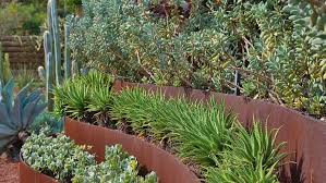 We did not find results for: How To Create A Low Water Garden Bunnings Australia