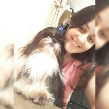 ✨Bobby Shih Tzu✨ (@_bobby.shihtzu) • Instagram photos and videos