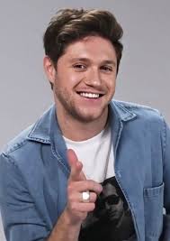 Niall Horan Photo