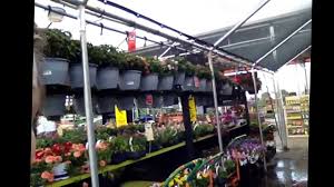 Check spelling or type a new query. Here S Where I Work Home Depot Garden Center Youtube