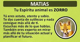 Averigua Ahora Cual Es Tu Espiritu Animal Espiritu Animal Significados De Los Nombres Espiritus