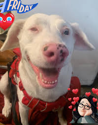 Relaxing with a good book and rain outside