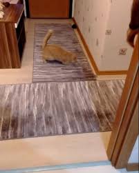 Oyun Saatleri Bugun Pek Enerjigiz Cat Scottishfold Pisi Miyav Kedi Decor Shag Rug Home Decor