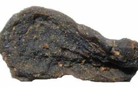 Résultat de recherche d'images pour "semsiyat dome"