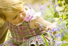 Grange Farm Nature Tots (Wednesday)