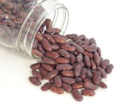 How to dry kidney beans from the garden. Dark Red Kidney Bean Seeds Urban Farmer