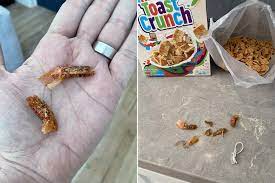 One look at the cinnamon swirls and you know that cinnamon toast crunch is for everyone. Npd Tdlvy J5zm
