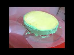 A few years back, my son had to make a 3d plant cell for science class. How To Make A Plant Cell Cake Youtube