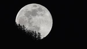 Kein black moon in berlin in 2021 (3. Vollmond Am Fruhlingsanfang Das Problem Mit Dem Oster Paradoxon Zdfheute