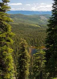 We did not find results for: Pacific Northwest Trail Above Boulder Lake Kootenai National Forest Pacific Northwest Trail Scenic Pretty Places
