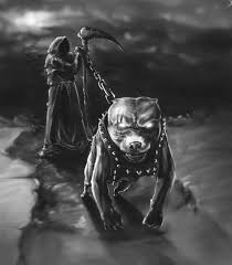 Pin Em Animal Totem Chefiado por exu rei das sete encruzilhadas e pombagira rainha das sete encruzilhadas, governa todas as passagens dos exus que ali trabalham. pinterest