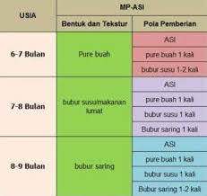 Sebenarnya, makanan pejal pertama bayi bukanlah pepejal; Makanan Pertama Bayi Umur 6 Bulan Makanan Ku