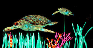 Especes En Voie D Illumination At The Jardin Des Plantes