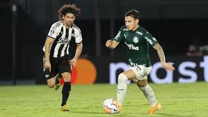 Motivo mais do que suficiente para que a timeline fosse dominada com zoeiras e comemorações alviverdes. Confira Como Foi A Campanha Do Palmeiras Campeao Da Conmebol Libertadores 2020 Confederacao Brasileira De Futebol