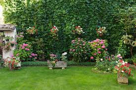 Here's how to care for & grow star jasmine. Espoma Companion Plants For Your Hydrangeas Espoma