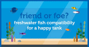 Petco Introduces A Freshwater Compatibility Chart Aquanerd