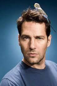 Starring Roles Paul Rudd Ant Man Paul Rudd Celebrities Male