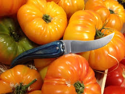 Un Bixia Dans Les Tomates Par Ongui Moncouteaubasque Tomates Concours Photo