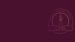 @MarchalStudios video Tweet