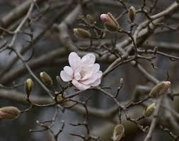 2017 Photography Contest Winners