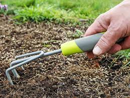 We did not find results for: The Top 10 Best Gardening Tools To Start Your Dream Garden