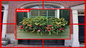 Maybe you would like to learn more about one of these? Best Flowers For Window Boxes In Full Sun Creative For Android Apk Download