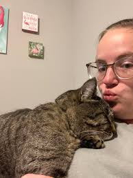 Lost Dog in Murrysville, PA