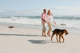 Check out 22 pet services near santa rosa, ca. What You Need To Know About The Santa Rosa Beach Dog Rules 30a Travel Blog