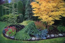 Coral Bark Conifers Garden Japanese Maple Garden Evergreen Garden