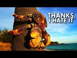 Coconut Crab Your Worst Nightmare Youtube
