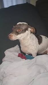 Melissa Sullins (@melissasullins420)