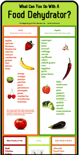 What Can You Do With A Food Dehydrator The Healthy