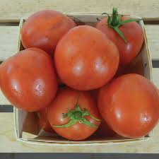 A grow bag always works well, or use a 7.5ltr pot. Moneymaker Tomato Seeds Urban Farmer